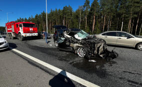 На Новоприозерском шоссе легковушка попала в аварию