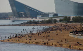 В Петербурге не оказалось ни одного безопасного пляжа