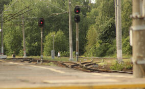 Уроженец Бокситогорска попал под поезд во Всеволожском районе