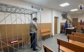 Мигранта признали виновным в убийстве 16-летней давности в Гатчине