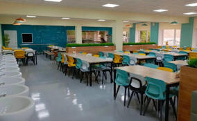 К 1 сентября в Ленобласти отремонтировали 12 школьных столовых