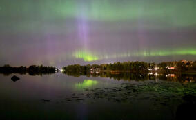 Жители Ленобласти наблюдали фиолетово-зеленое северное сияние
