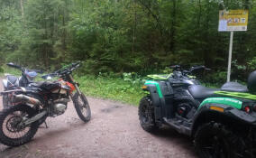 В Ленобласти продолжаются рейды на особо охраняемых территориях