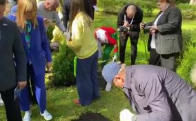 Александр Дрозденко принял участие в посадке деревьев на «Аллее Героев»