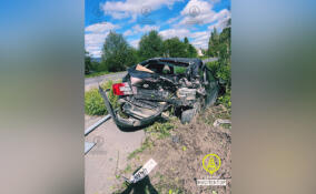 Пьяный водитель врезался в иномарку и вместе с ней вылетел в кювет в Гатчинском районе