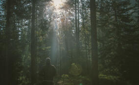 Прокуратура заинтересовалась глэмпингом, открытым в заповеднике в Ленобласти