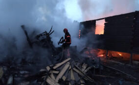 Один человек пострадал при пожаре в садоводстве под Всеволожском