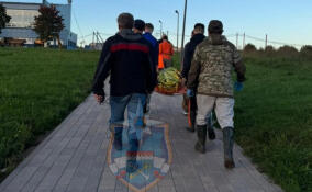 Спасатели и волонтеры эвакуировали женщину из леса у деревни Гузеево