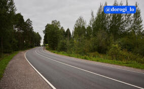 В Приозерском районе отремонтировали дорогу между Сосново и Запорожским