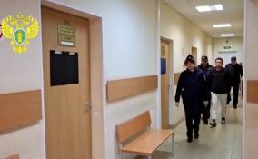 В Ленобласти арестовали пристававшего к девочке мигранта-нелегала