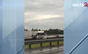 На КАД произошло массовое ДТП с тремя легковушками и двумя фурами