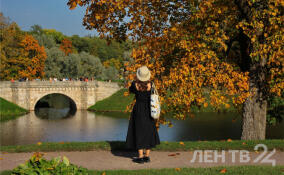 До +24, возможны дожди: прогноз погоды в Ленобласти на 5 сентября