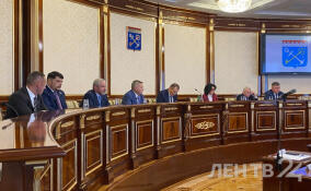 Совет Почетных граждан Ленобласти обсуждает поддержку участников СВО