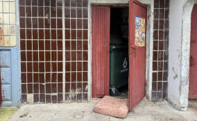 В парадной дома во Всеволожске нашли новорожденную девочку