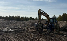 Крупную нелегальную свалку обнаружили под Усть-Лугой