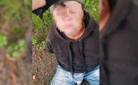 Пьяная женщина с ножом угрожала маме с ребенком в Выборге