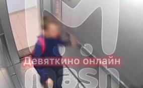 Жителя Нового Девяткино задержали за издевательства над малолетним сыном