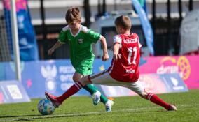 От шахбокса до будущих олимпийцев: о спортивных выходных в Ленобласти