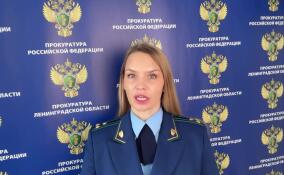 Прокуратура проверит информацию об избиении отцом детей в Новом Девяткино