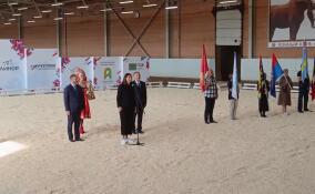 В Энколово стартовала XXII выставка племенных животных «Белые ночи»