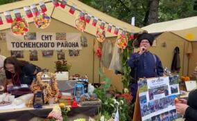 Фермерская ярмарка открылась в рамках съезда Союза садоводов России в Гатчине