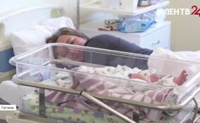 Ленинградский областной перинатальный центр вошел в топ-10 лучших центров России