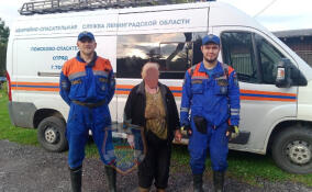 Из леса у Карташевской вывели пожилую женщину