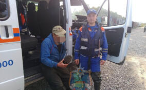 В Волховском районе спасли мужчину, который провел ночь в лесу