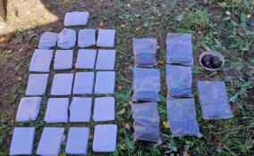 У жителя Суйды нашли почти 15 кг наркотиков