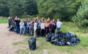 В заказнике «Лебяжий» прошел субботник
