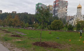 В парке «Оккервиль» посадят яблони, черемухи, дубы и ели
