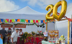 В Ленобласти проводится смотр-конкурс «Ветеранское подворье»