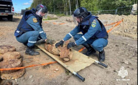 В Тосненском районе обезвредили авиабомбу в 20 метрах от железнодорожной дороги