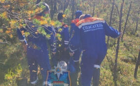 В Тосненском районе спасатели эвакуировали мужчину, больше суток блуждавшего по лесу