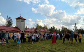 Жители Вырицы отметили праздник Лошади