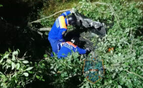 Иномарка съехала в кювет в Приозерском районе: пострадал ребенок