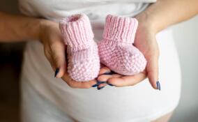 С 1 сентября СФР начал выплачивать декретные будущим мамам-студенткам в Петербурге и Ленобласти