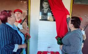 В сланцевской школе открыли Доску памяти в честь погибшего героя СВО Владимира Башинского