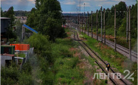 На железной дороге в Петербурге погибли два человека