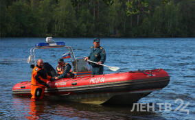 На водоемах Ленобласти за три дня погибли три человека
