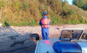 В реке Нева у Отрадного обнаружили тело человека