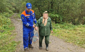 В лесах Ленобласти за неделю в беду попали 34 человека