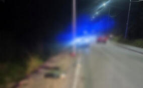 Полиция ищет водителя, насмерть сбившего пенсионерку в дереве Касимово