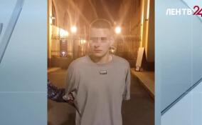 В Петербурге задержали жителя Москвы, пытавшегося попасть на территорию Эрмитажа после закрытия