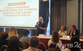 В Ленобласти запустят премию для производителей товаров и услуг в сфере детства