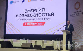 Александр Дрозденко: более 60% социальных услуг в Ленобласти оказывает бизнес