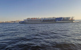 Петербургские спасатели помогли пассажирам севшего на мель теплохода