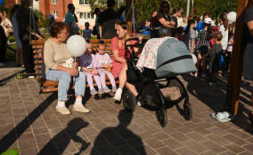 В Ленобласти станет проще получить региональную выплату при рождении третьего ребенка