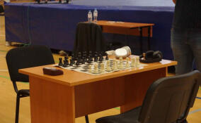 В Выборге подвели итоги первенства и чемпионата региона по шахбоксу