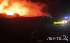 Шесть гаражей сгорели в деревне Ненимяки